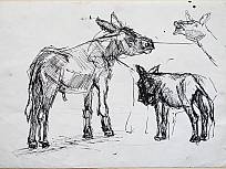 Feder auf Papier, Esel, 1993 